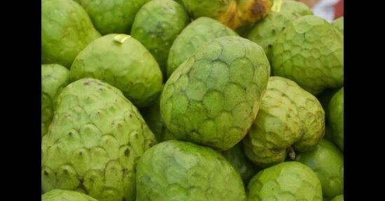 Cherimoya: Sweet, Healthy & Full of Nutrients