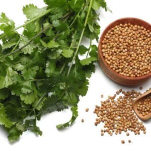 Koriandri: A Powerful Herb for Better Health