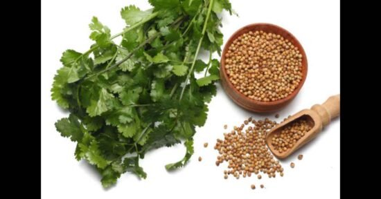 Koriandri: A Powerful Herb for Better Health